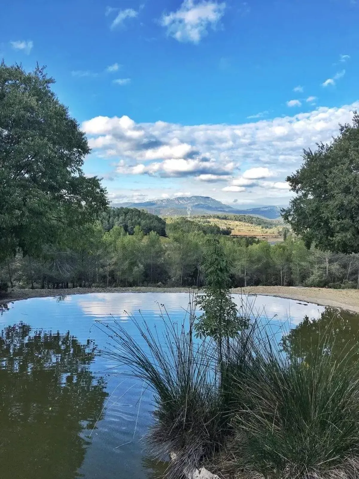 Parc de coulondres